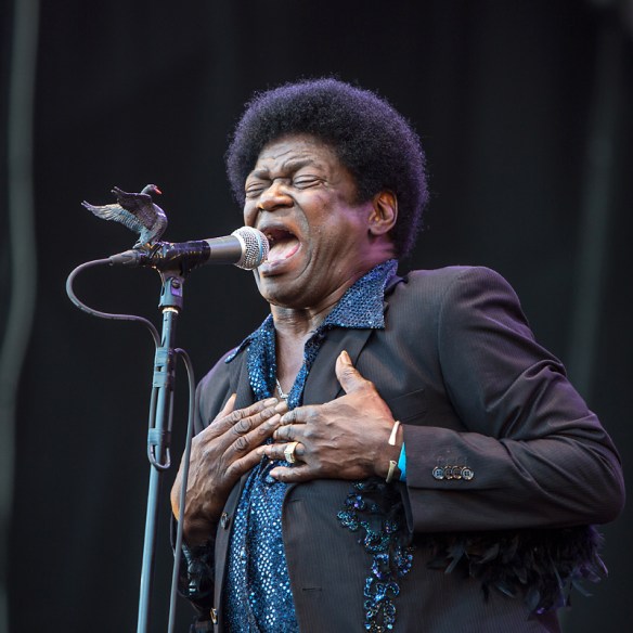 Charles Bradley at Øyafestivalen. © Per Ole Hagen