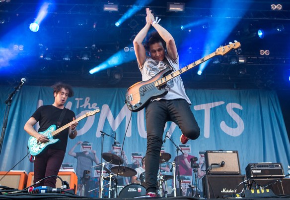 Wombats © Per Ole Hagen