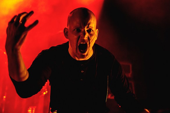 Tulus © Per Ole Hagen