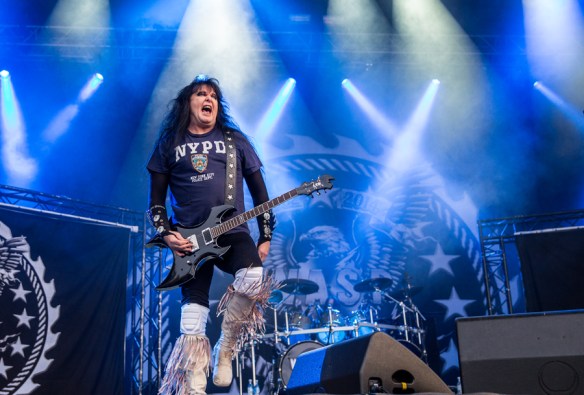 WASP © Per Ole Hagen