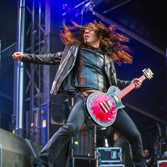 WASP © Per Ole Hagen