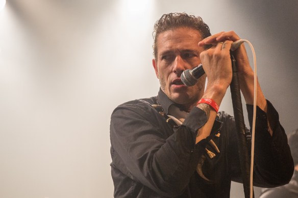 The Dogs © Per Ole Hagen