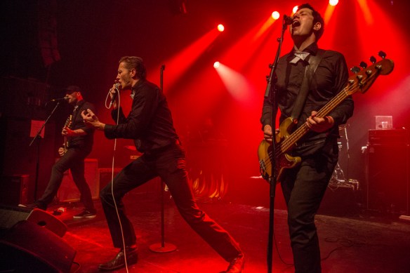 The Dogs © Per Ole Hagen