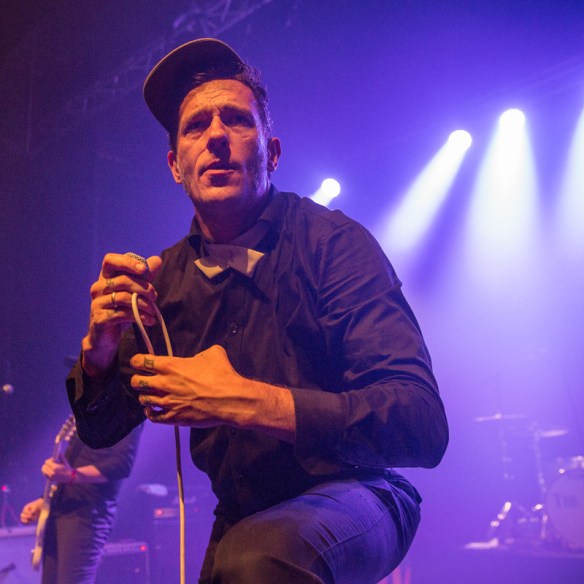 The Dogs © Per Ole Hagen