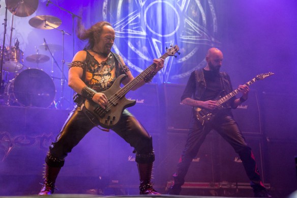 Venom © Per Ole Hagen