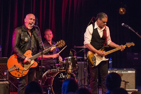 Black Sorrows 22082015-07