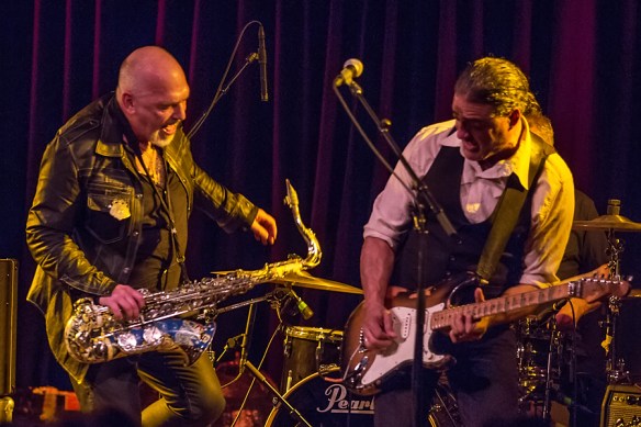 Black Sorrows 22082015-16