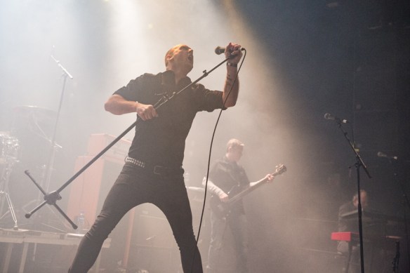 Blakk © Per Ole Hagen