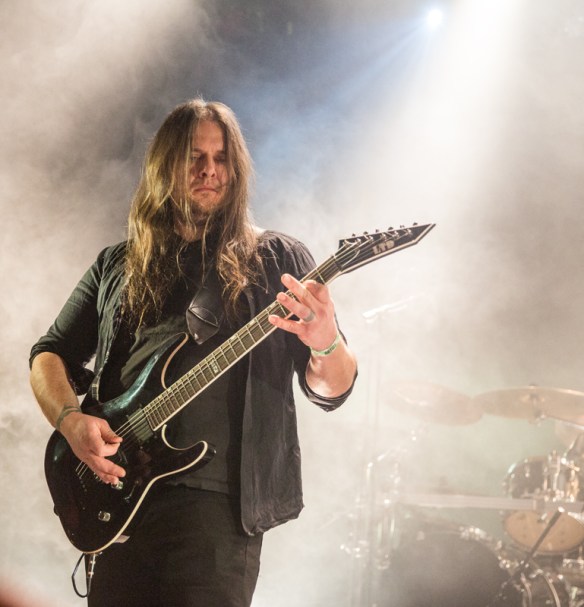 Green Carnation © Per Ole Hagen