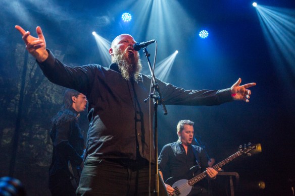 Green Carnation © Per Ole Hagen