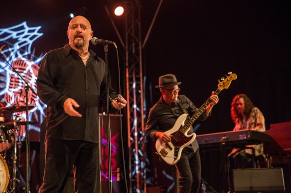 The Fabulous Thunderbirds © Per Ole Hagen