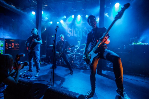 Slegest © Per Ole Hagen