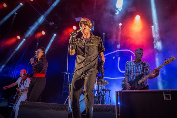 Bob Hund 22072017-11