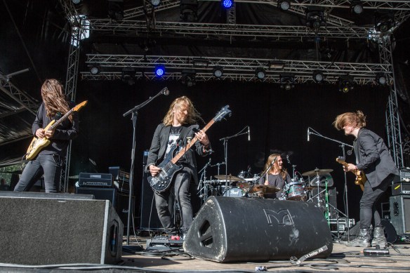 Oranssa Panzuzu 19082017-05