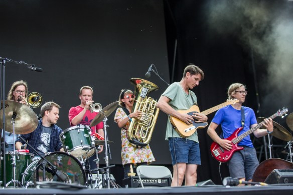 Skadedyr 10082017-02