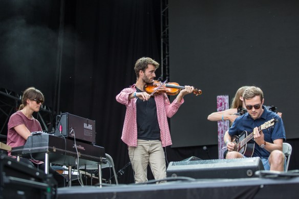 Skadedyr 10082017-03