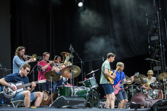 Skadedyr 10082017-05