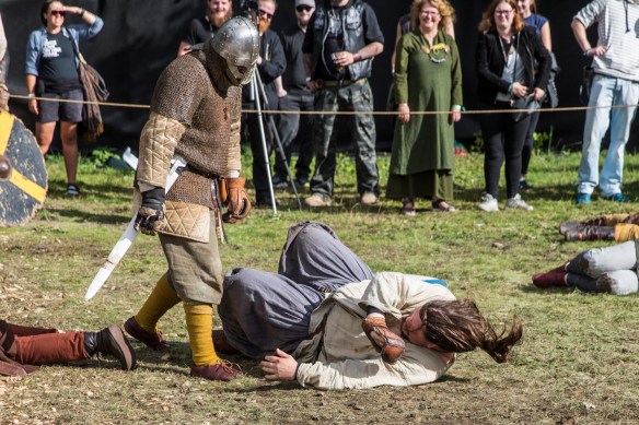 Viking battle 19082017-02