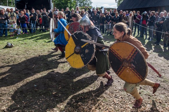 Viking battle 19082017-04