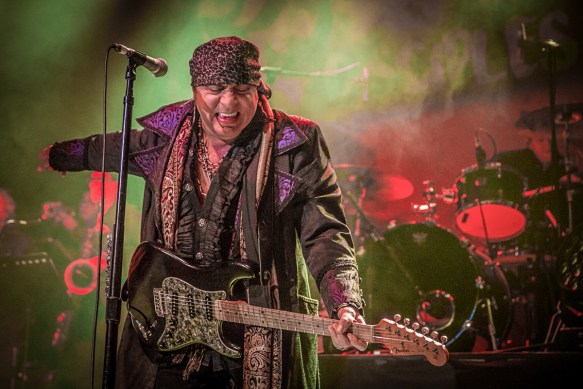 Little Steven 20112017-29