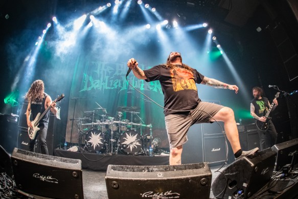 Black Daliah Murder 18042019-08